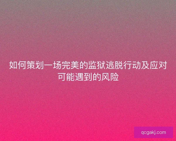 如何策划一场完美的监狱逃脱行动及应对可能遇到的风险