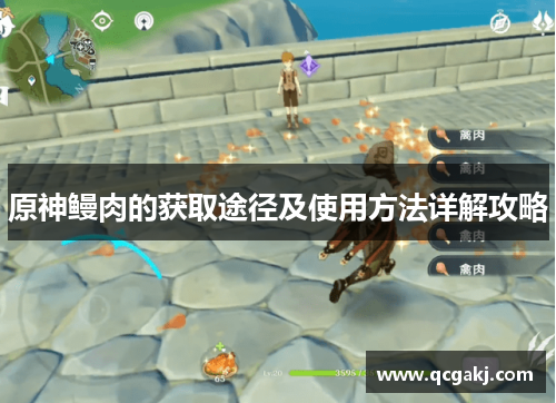原神鳗肉的获取途径及使用方法详解攻略