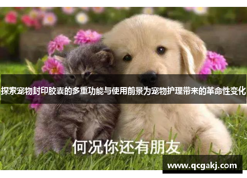 探索宠物封印胶囊的多重功能与使用前景为宠物护理带来的革命性变化