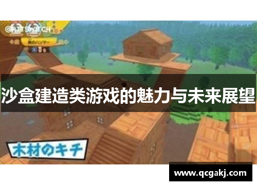 沙盒建造类游戏的魅力与未来展望